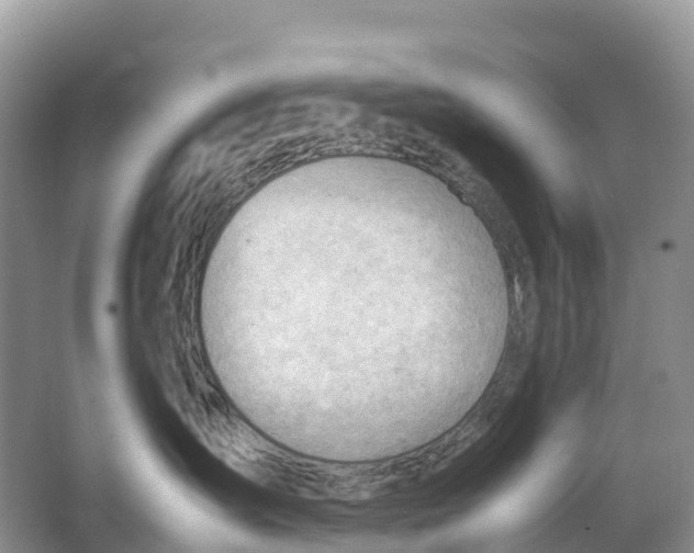 X0000064750431200602241843