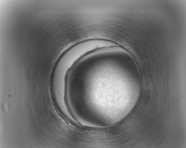 X0000064750434200602241842