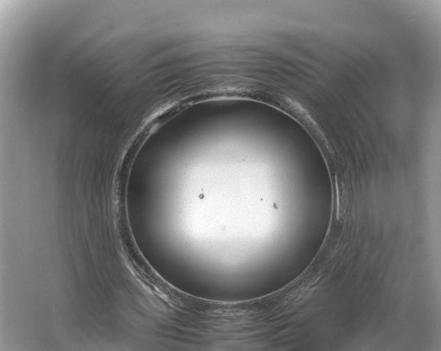 X0000064750435200602241842