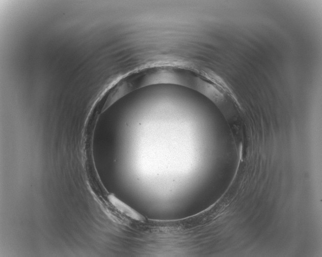 X0000064750436200602241842