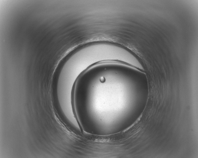 X0000064750440200602241842