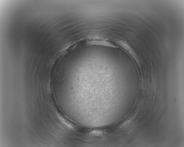 X0000064750441200602241842