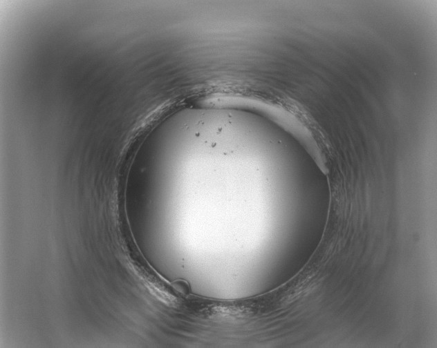 X0000064750442200602241842