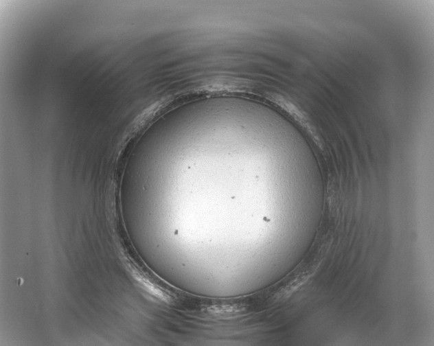 X0000064750445200602241842