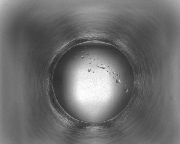 X0000064750448200602241842