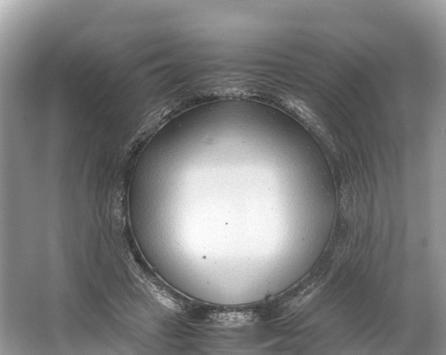 X0000064750449200602241842