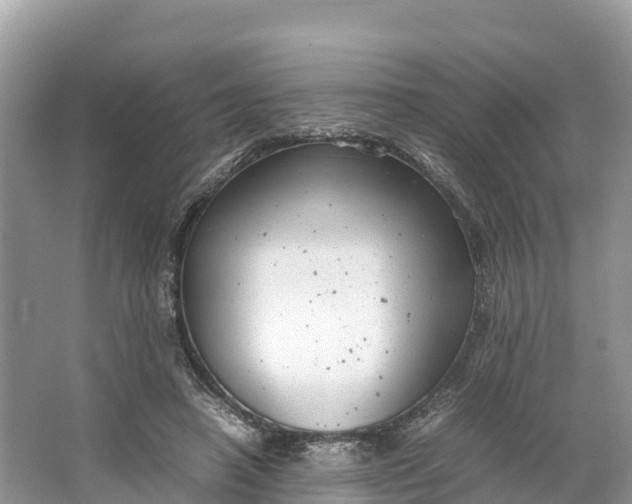 X0000064750450200602241842