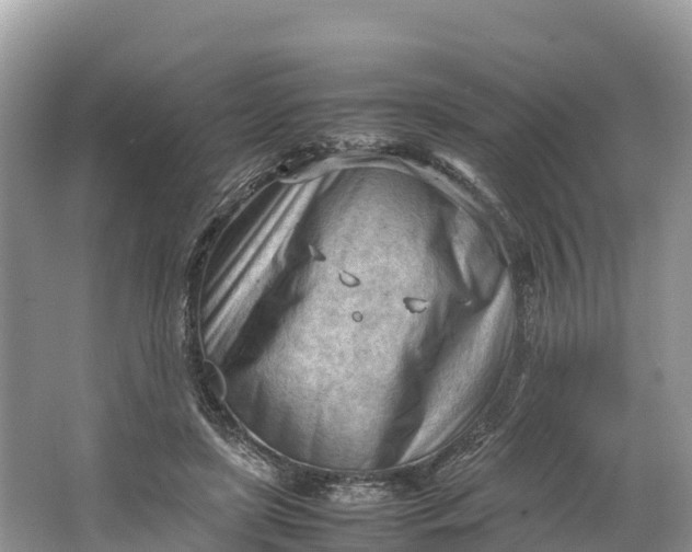 X0000064750451200602241842