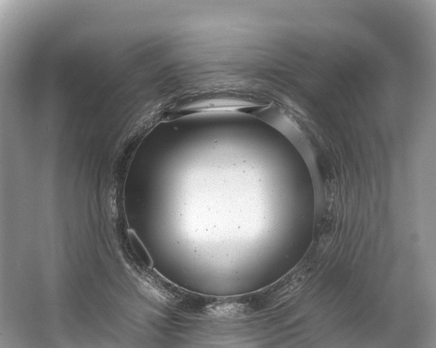 X0000064750452200602241842