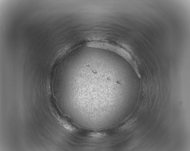 X0000064750453200602241842