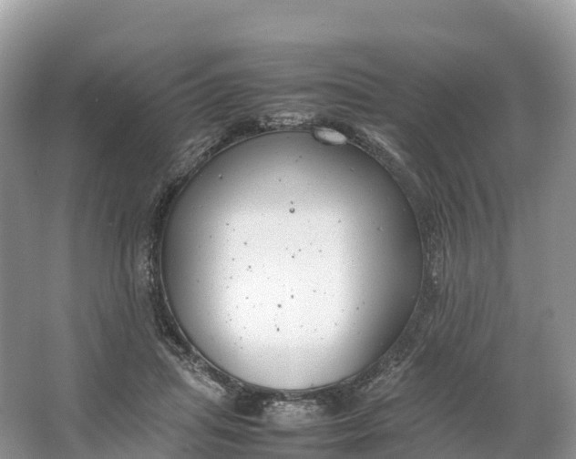 X0000064750455200602241842