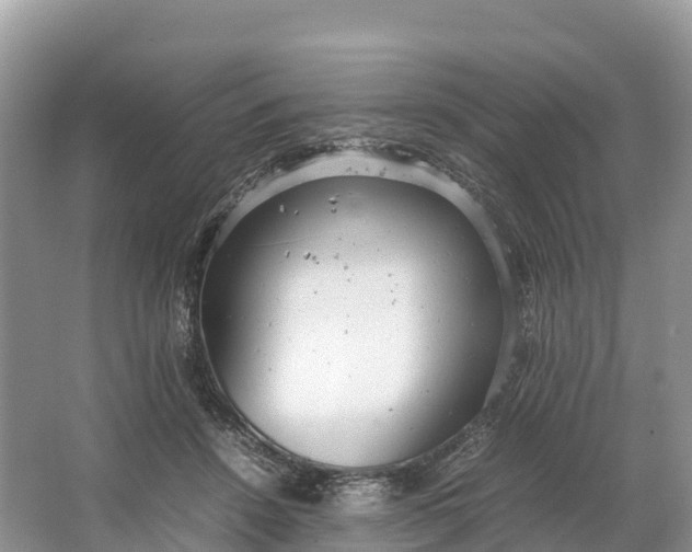 X0000064750456200602241842