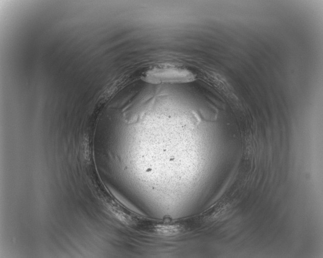 X0000064750457200602241842