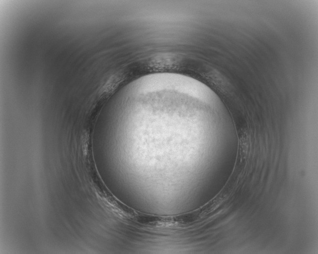 X0000064750458200602241842