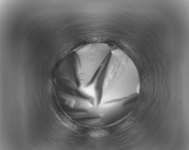 X0000064750459200602241842