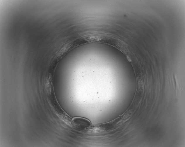 X0000064750460200602241843