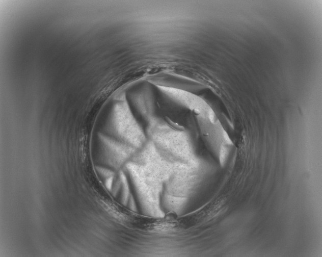 X0000064750462200602241843