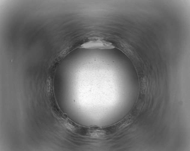 X0000064750463200602241843