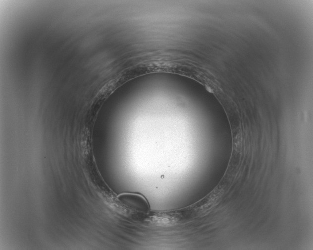 X0000064750464200602241843