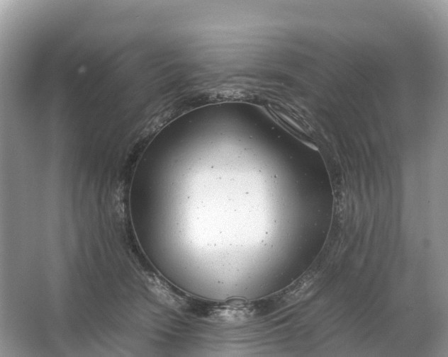 X0000064750466200602241843