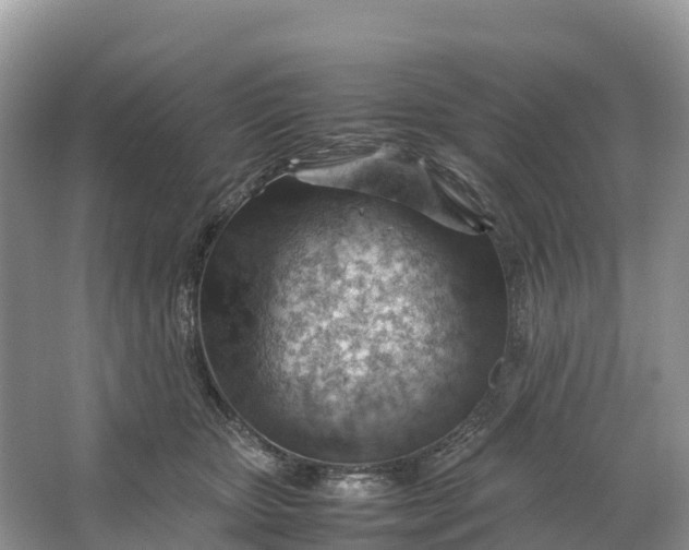 X0000064750467200602241843