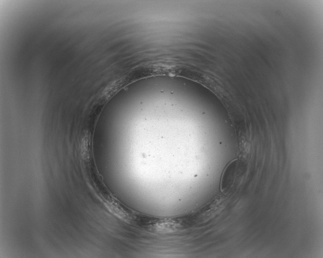 X0000064750468200602241843