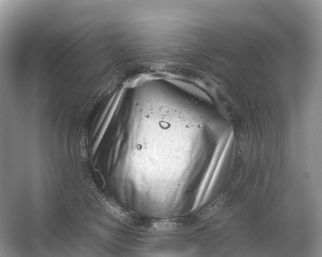 X0000064750470200602241843