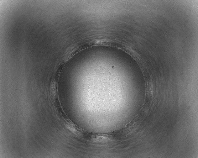 X0000064750475200602241843