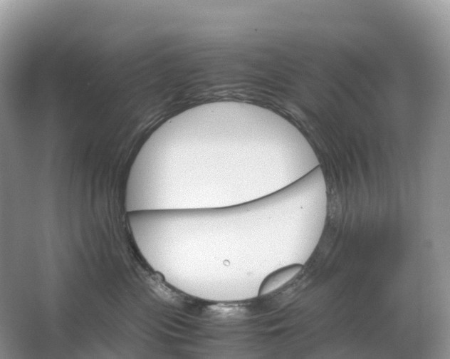 X0000064750477200602241843