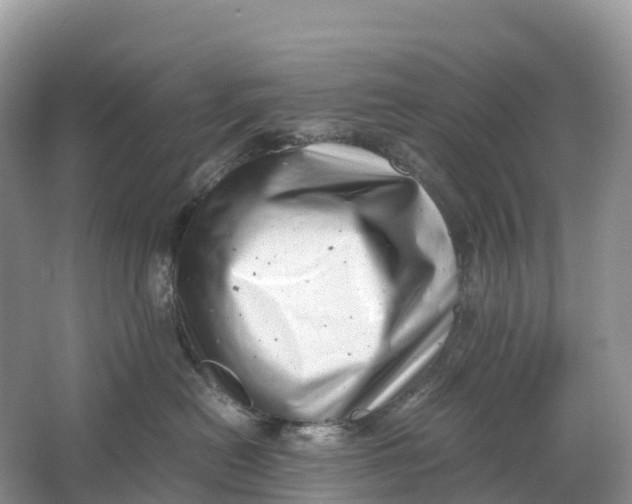 X0000064750478200602241843