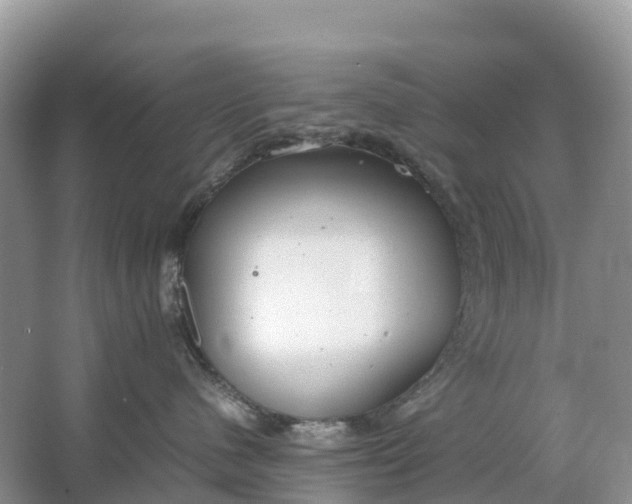 X0000064750480200602241843