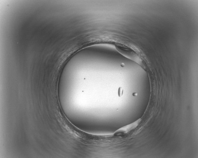 X0000064750481200602241842