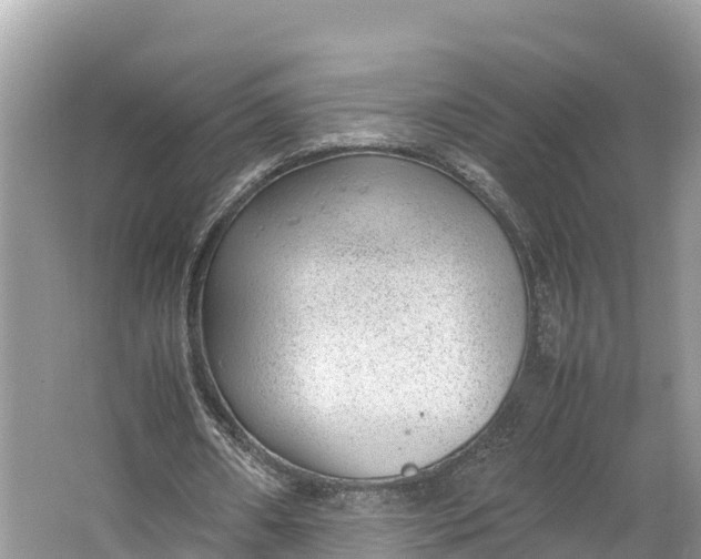 X0000064750482200602241842