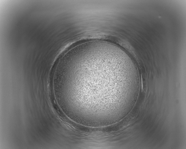 X0000064750483200602241842