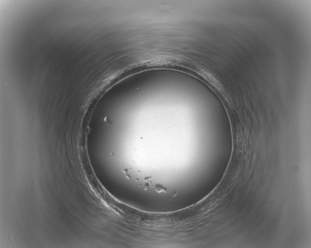 X0000064750485200602241842