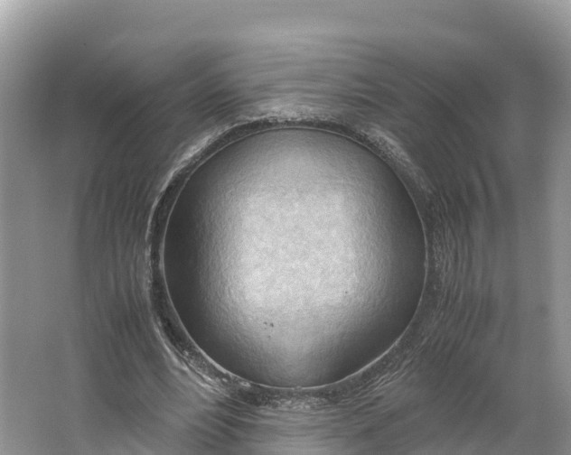 X0000064750488200602241842