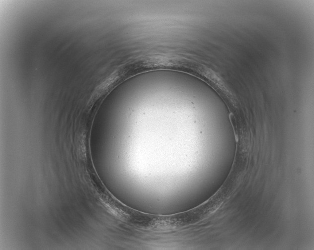 X0000064750489200602241842