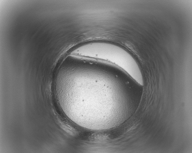 X0000064750491200602241842