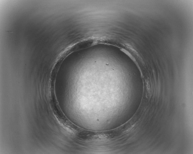 X0000064750492200602241842