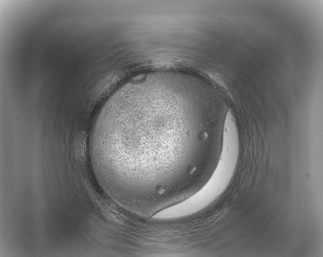 X0000064750495200602241841