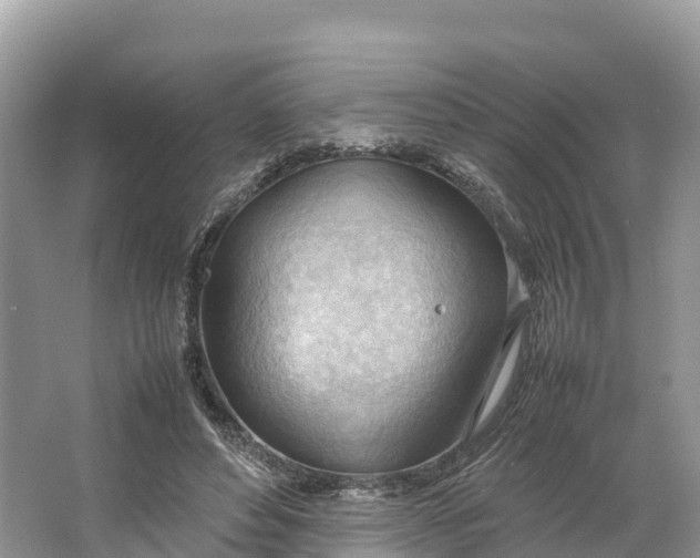 X0000064750496200602241841