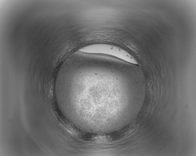 X0000064750499200602241841