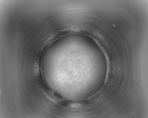 X0000064750500200602241841