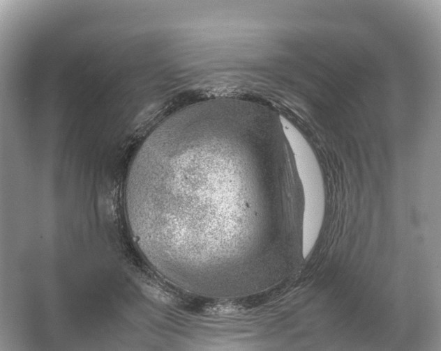 X0000064750503200602241841