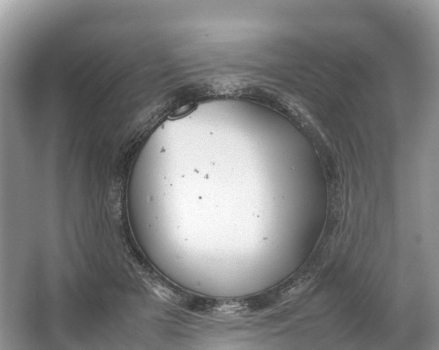 X0000064750505200602241841