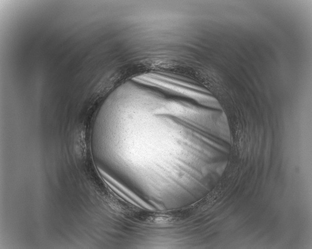 X0000064750506200602241841