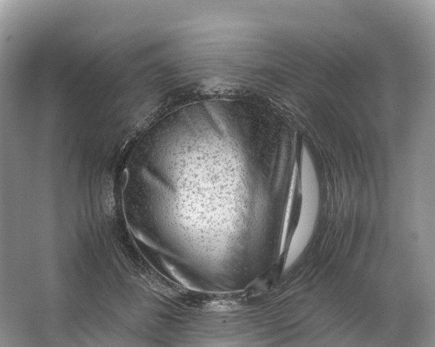 X0000064750508200602241841