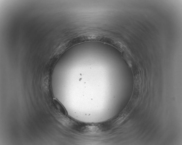 X0000064750509200602241841