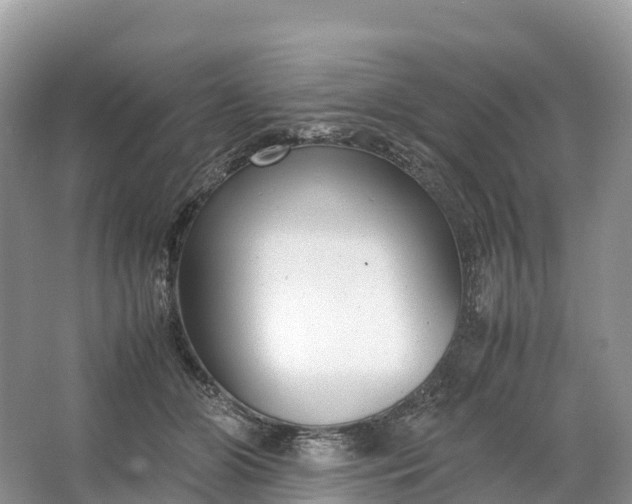 X0000064750510200602241841