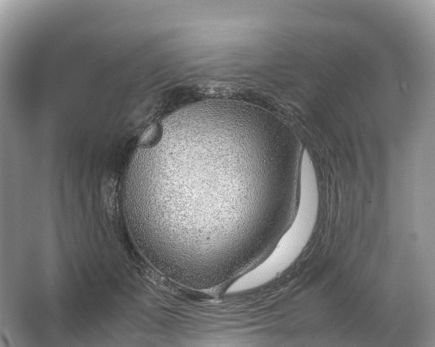 X0000064750511200602241841